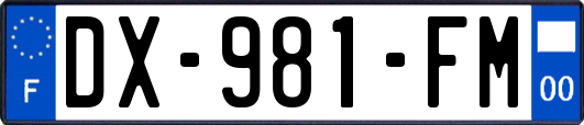 DX-981-FM