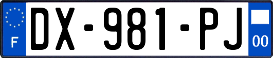 DX-981-PJ