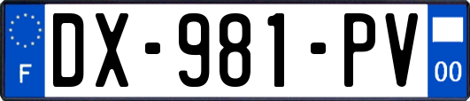 DX-981-PV