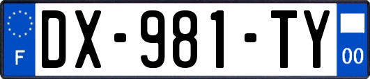DX-981-TY