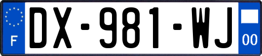 DX-981-WJ