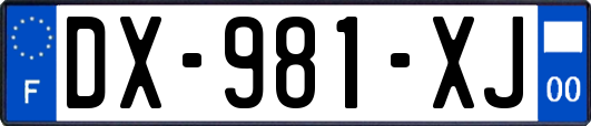 DX-981-XJ