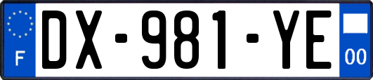 DX-981-YE