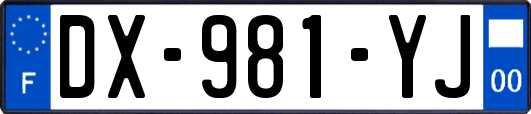 DX-981-YJ