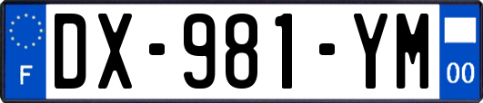 DX-981-YM