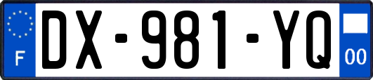 DX-981-YQ