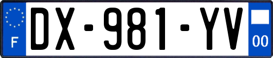 DX-981-YV