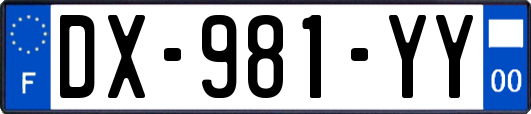 DX-981-YY