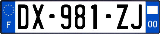 DX-981-ZJ