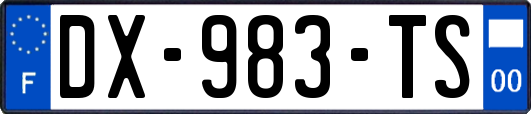 DX-983-TS