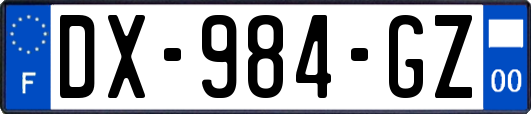 DX-984-GZ