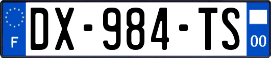 DX-984-TS