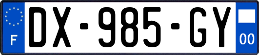 DX-985-GY