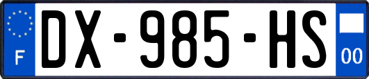 DX-985-HS