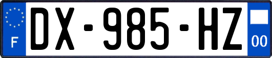 DX-985-HZ