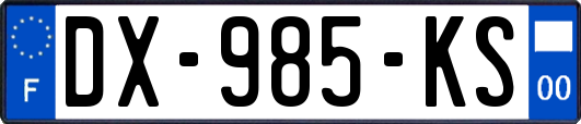 DX-985-KS