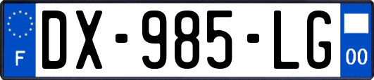 DX-985-LG