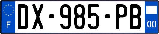 DX-985-PB