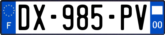 DX-985-PV