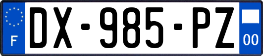 DX-985-PZ