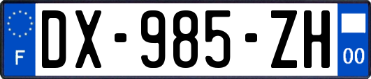 DX-985-ZH