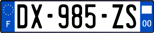 DX-985-ZS