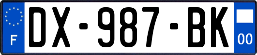 DX-987-BK