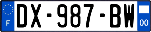 DX-987-BW