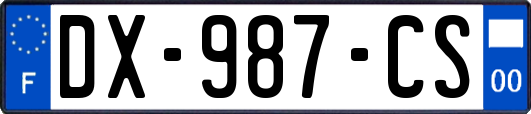 DX-987-CS