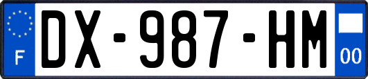 DX-987-HM