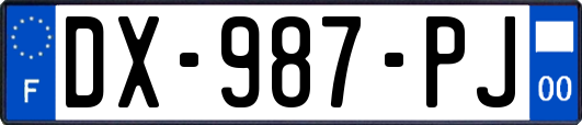 DX-987-PJ