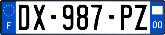 DX-987-PZ