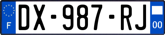 DX-987-RJ