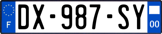 DX-987-SY