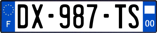 DX-987-TS
