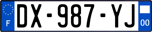 DX-987-YJ