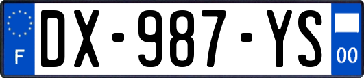 DX-987-YS