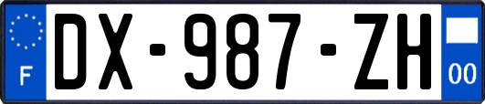 DX-987-ZH