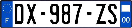 DX-987-ZS