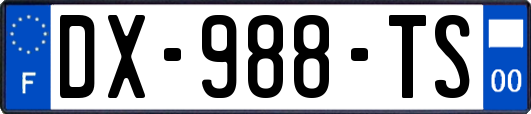DX-988-TS