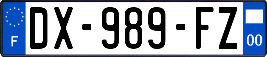 DX-989-FZ