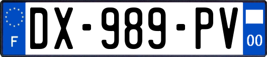DX-989-PV