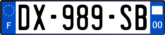 DX-989-SB