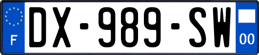 DX-989-SW
