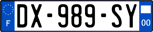 DX-989-SY