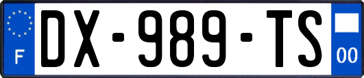 DX-989-TS