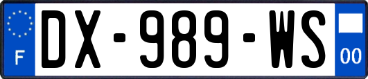 DX-989-WS