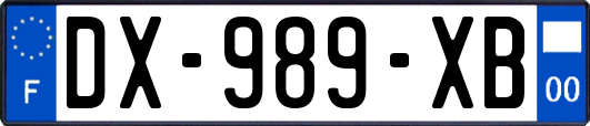 DX-989-XB