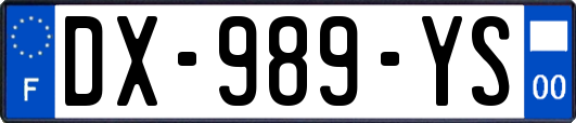 DX-989-YS