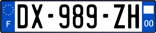 DX-989-ZH